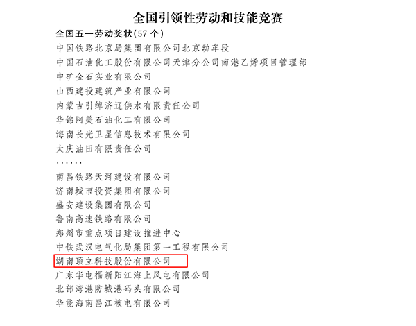 国家级荣誉！顶立科技荣获“全国五一劳动奖状”.png